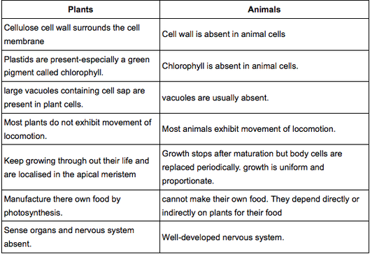Parts Of A Plant Cell And Their Functions Chart